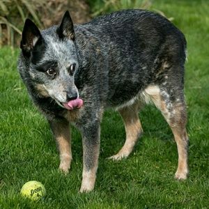 Meet your Posher, Elissa